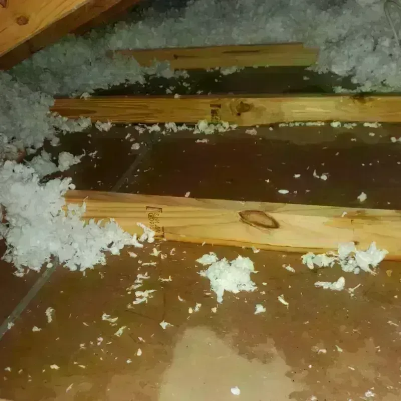 Attic Water Damage in Umatilla County, OR