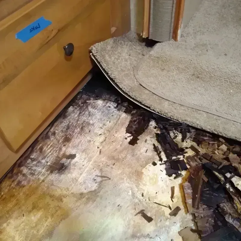 Best Wood Floor Water Damage Service in Umatilla County, OR